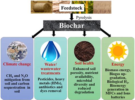  Biochar: Een Revolutionaire Materie voor Duurzame Energieopslag en Bodemverrijking!